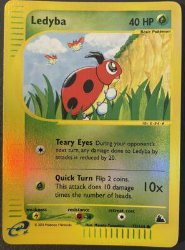 Ledyba 72/144 - Skyridge