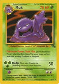Muk 28/62 - Fossil Set